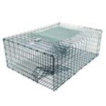 FOLDABLE PIGEON CAGE TRAP